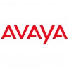 Avaya / Nortel